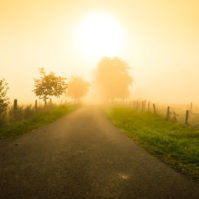 Herbstnebel Feldweg im Nebel